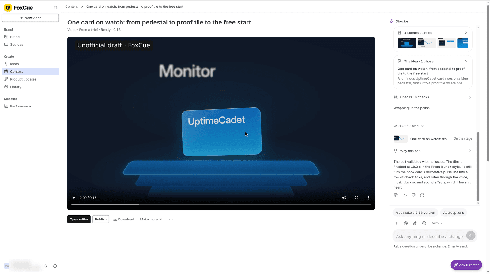 A video open with the player and the Director panel